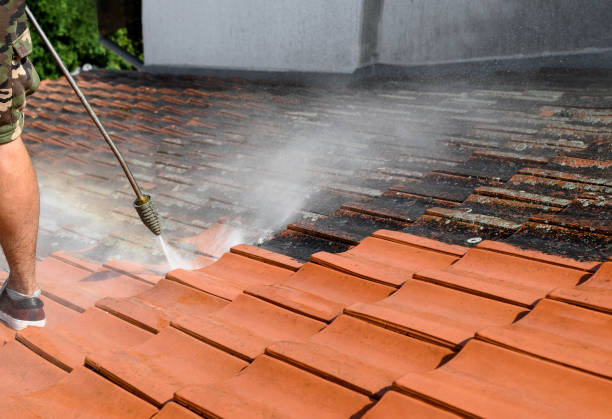 Best House Pressure Washing  in Mantua, VA